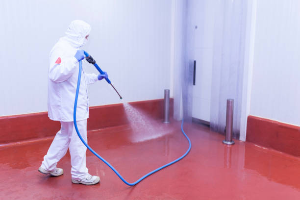 Best Building Exterior Washing  in Hiram, GA